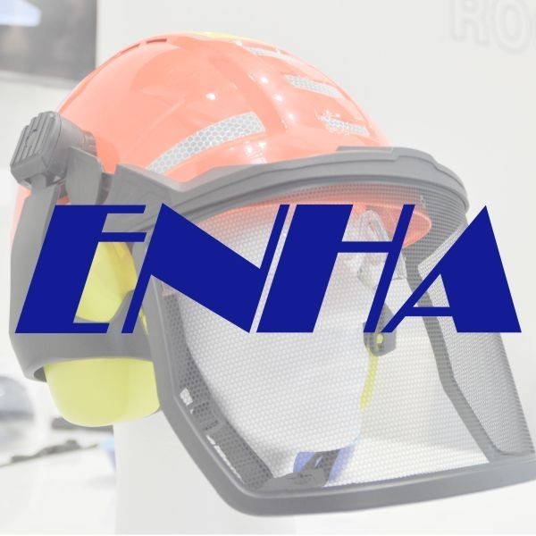 logo ENHA.jpg